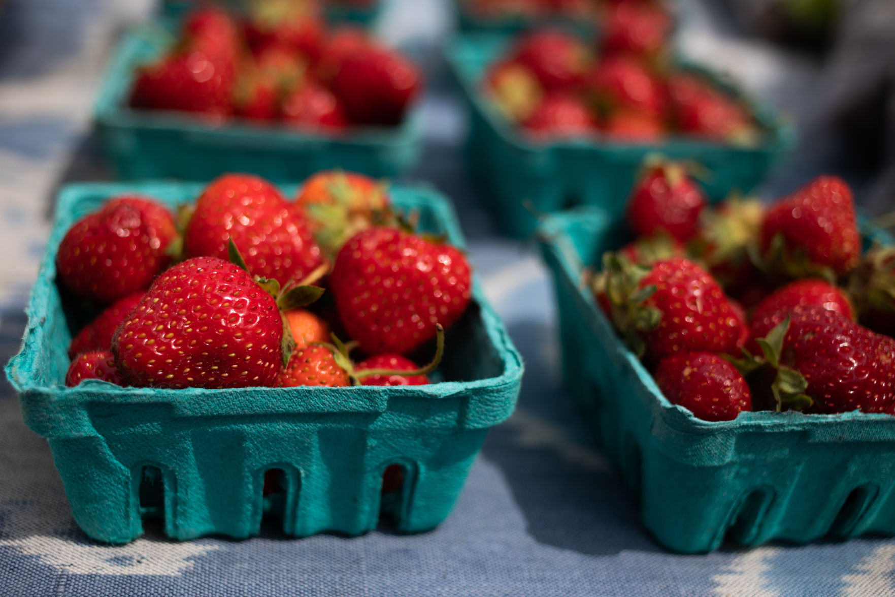 LNA_05232019_AmherstFarmersMarket_03